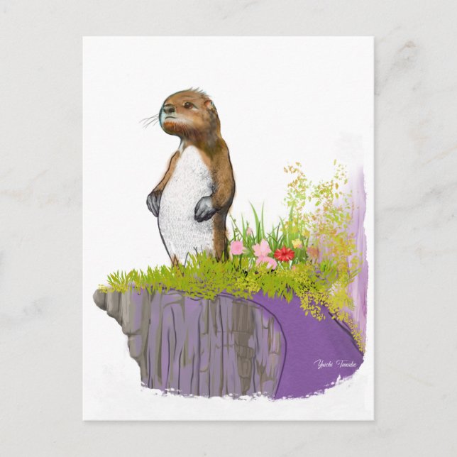 Lonely Otter Postkarte (Vorderseite)
