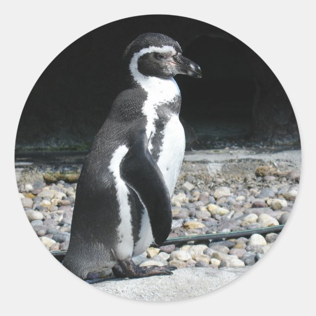 Lonely Penguin Runder Aufkleber (Vorderseite)