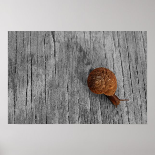 Lonely Snail Print Poster (Vorne)