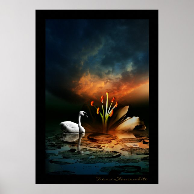 Lonely Swan Poster (Vorne)