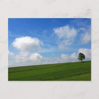 Lonely Tree - Postcard Postkarte