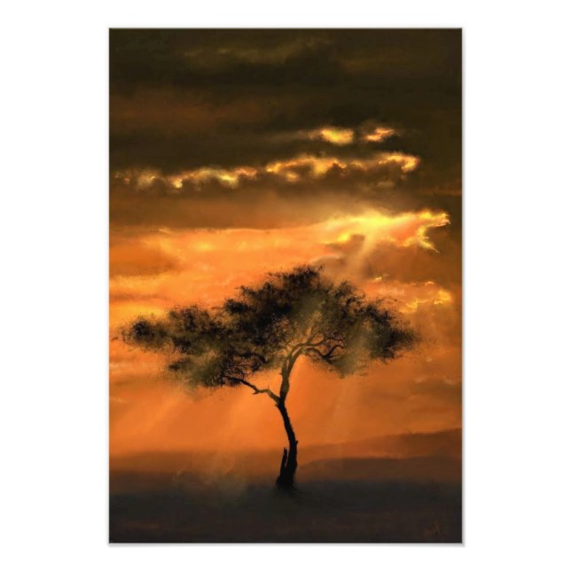 Lonely Tree Sunams Sunset Foto Print (Vorne)