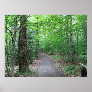 Lonesome Lake Trail New Hampshire Poster