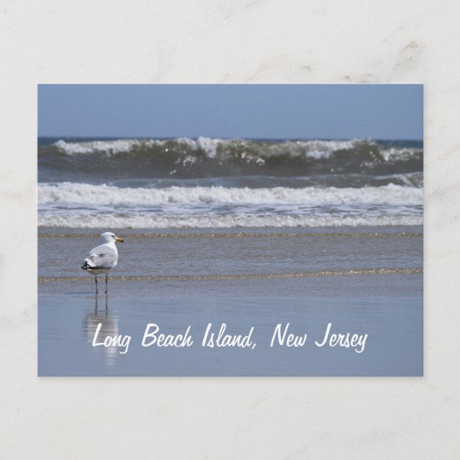 Long Beach Island, NJ Postcard Postkarte (Vorderseite)