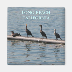 Long Beach Magnet!! Magnet