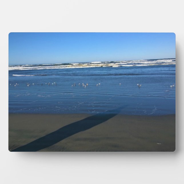 Long Beach, Washington Fotoplatte (Vorderseite)