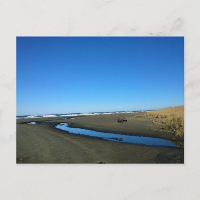 Long Beach, Washington Postkarte (Vorderseite)