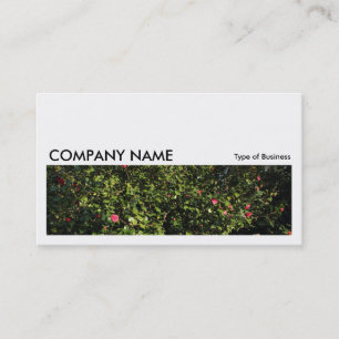 Long Bild 0175 - Camellia Bush Visitenkarte