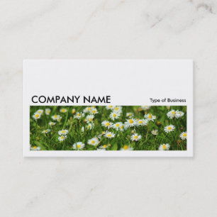 Long Bild 0235 - Daisy Meadow Visitenkarte