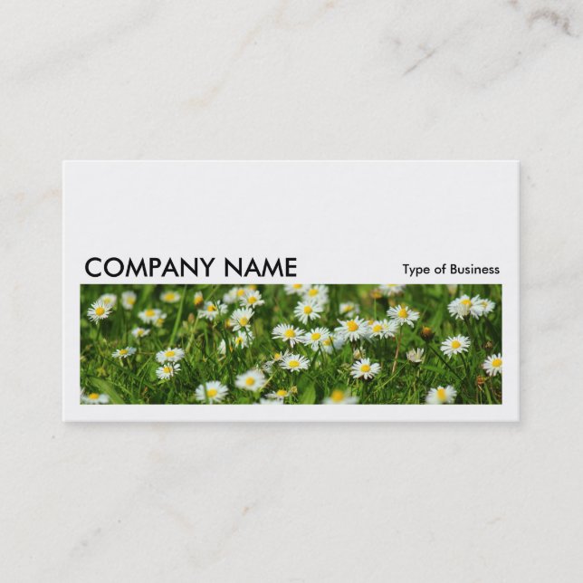 Long Bild 0235 - Daisy Meadow Visitenkarte (Vorderseite)