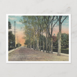 Long Branch NJ Cedar Ave 1911 Vintag Style Postkarte