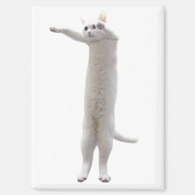 Long Cat Meme Magnet (Vorderseite)