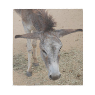 Long Eared Donkey Notizblock