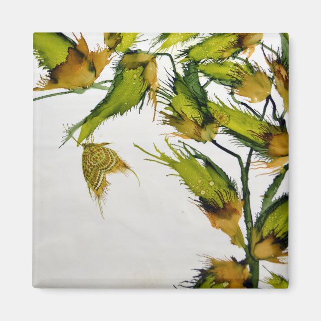 Long Green Pods und Butterfly Magnet (Vorne)