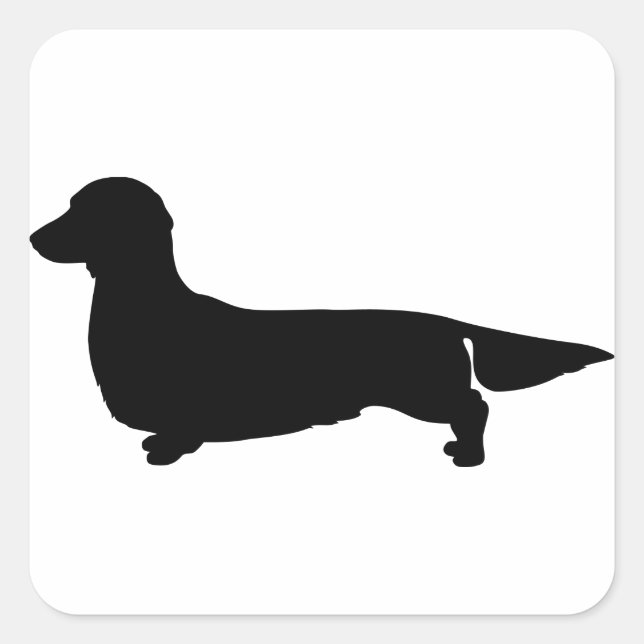 Long Hair Dackel Square Sticker (Vorderseite)