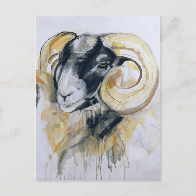Long Horn Sheep Postkarte (Vorderseite)