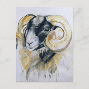 Long Horn Sheep Postkarte
