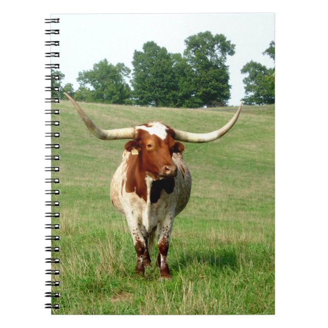 Long Horned Cow Notebook Notizblock (Vorderseite)