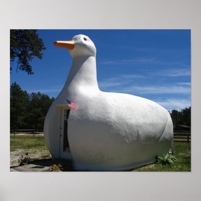 Long Island Duck Poster (Vorne)