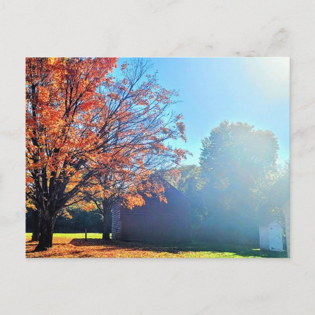 Long Island Herbst Farm Barrio New York Postkarte (Vorderseite)