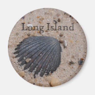 Long Island Scallop Muschel Magnet