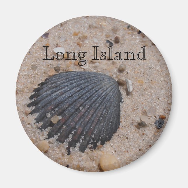 Long Island Scallop Muschel Magnet (Vorne)