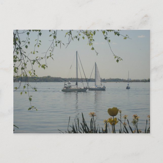 Long Island Sound Postkarte (Vorderseite)