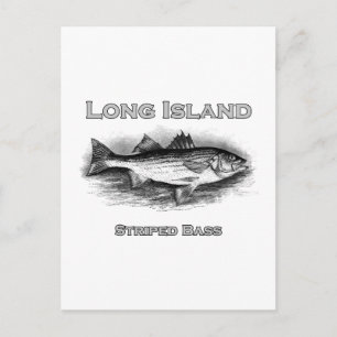 Long Island Vintage-Gestreifter-Barsch-Logo Postkarte