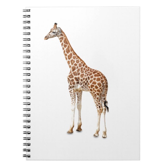 Long Neck Giraffe Notizblock (Vorderseite)