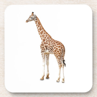 Long Neck Giraffe Untersetzer