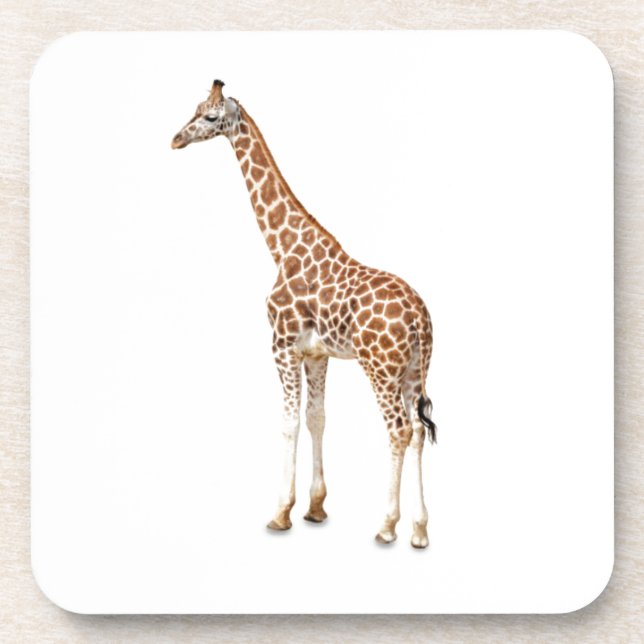 Long Neck Giraffe Untersetzer (Vorderseite)