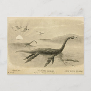 Long Neck Sea Lizard Zoological Sketcard Postkarte