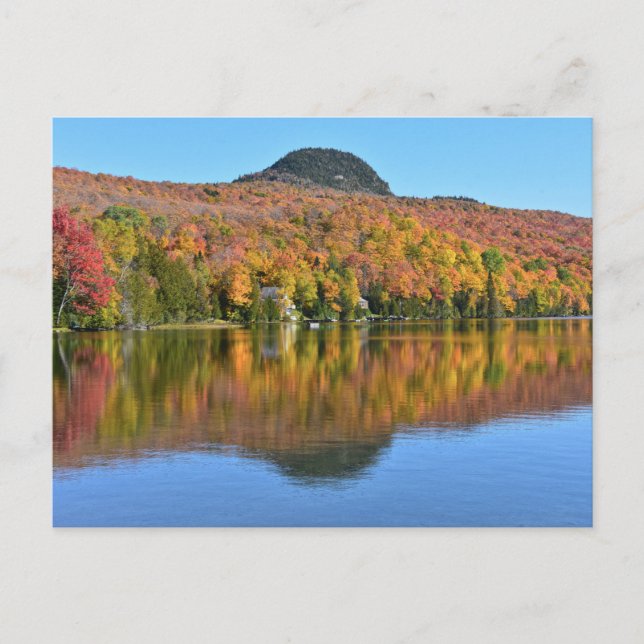 Long Pond im Herbst, Westmore, Vermont Postkarte (Vorderseite)