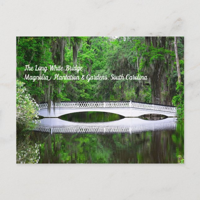 Long White Bridge Postcard Postkarte (Vorderseite)