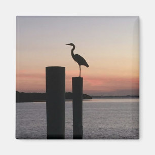 Longboat Key Pelican Magnet