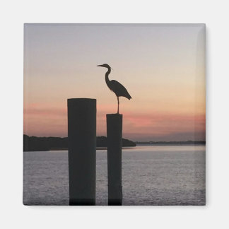 Longboat Key Pelican Magnet