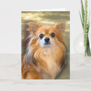 Longhair Chihuahua Card Karte