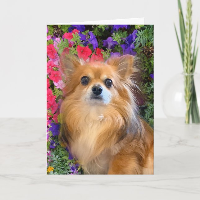 Longhair Chihuahua Floral Blume Karte (Vorderseite)