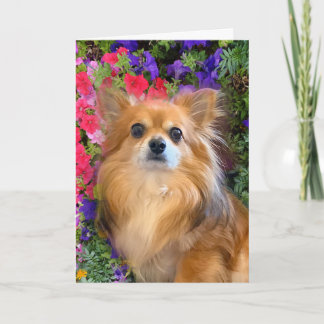 Longhair Chihuahua Floral Blume Karte