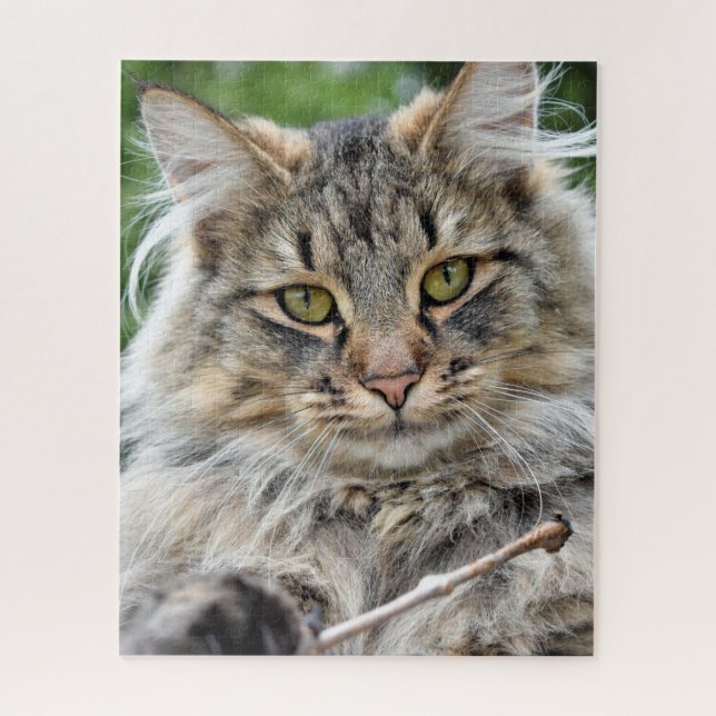 Longhair Tabby Cat Jigsaw Puzzle (Vertikal)