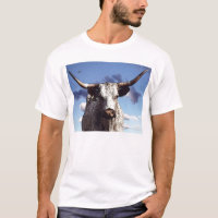 Longhorn #1