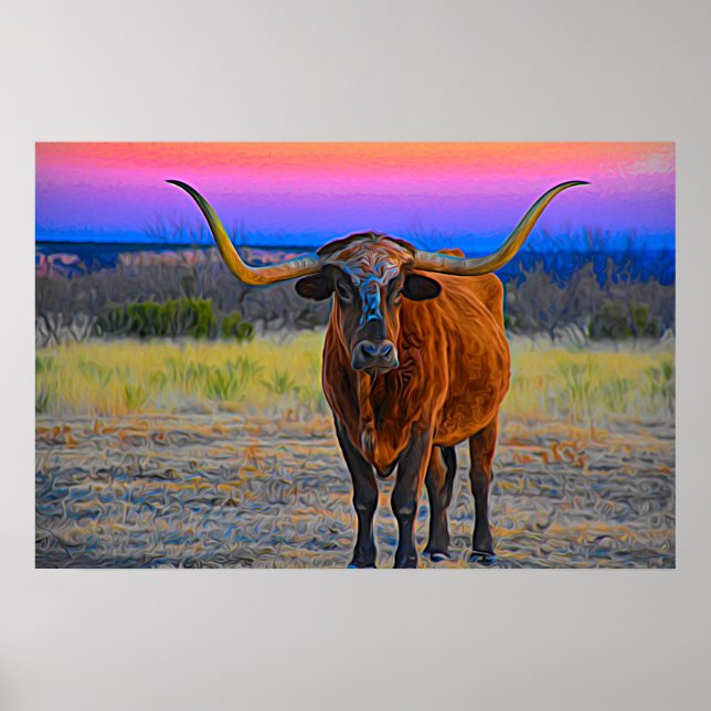 Longhorn bei Sonnenuntergang Poster (Vorne)