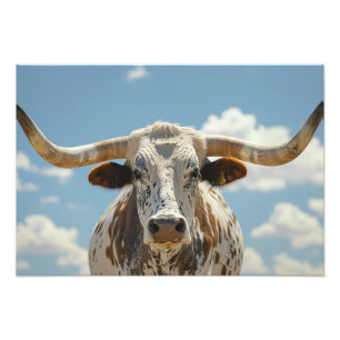 Longhorn Bull Fotodruck