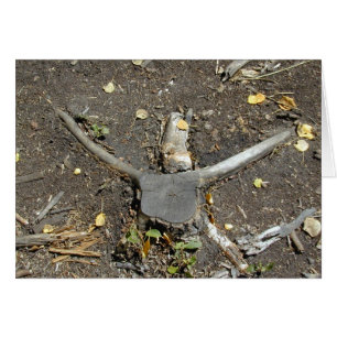 Longhorn Illusion card