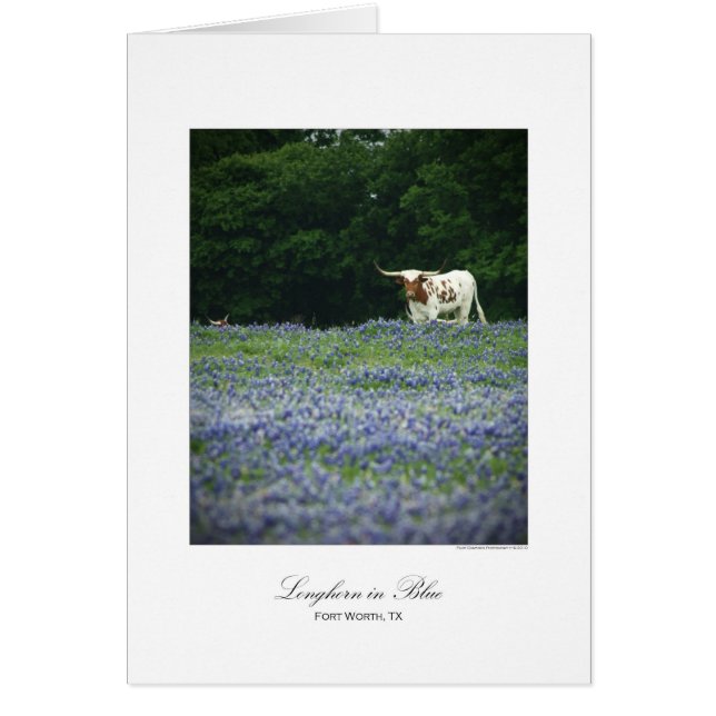 Longhorn in blau (Vorne)