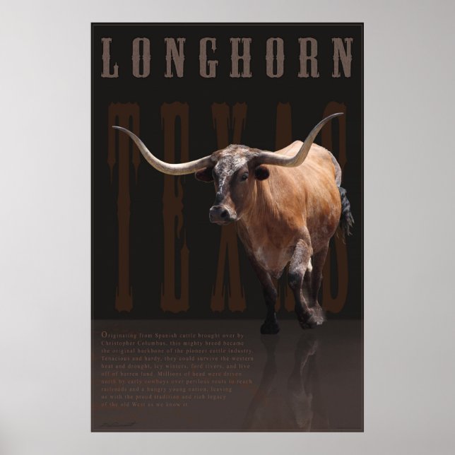 Longhorn Legacy Poster -40x60 -andere Größen (Vorne)
