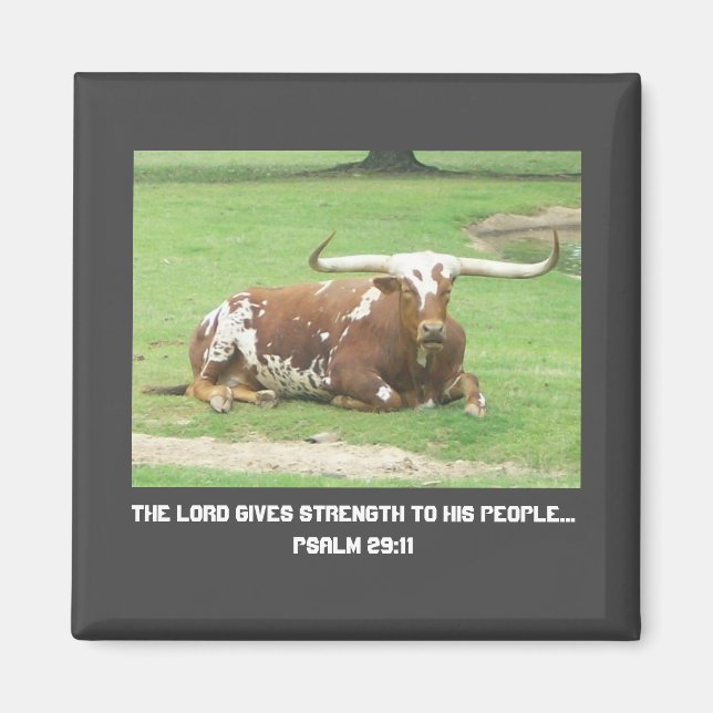 Longhorn Magnet (Vorne)