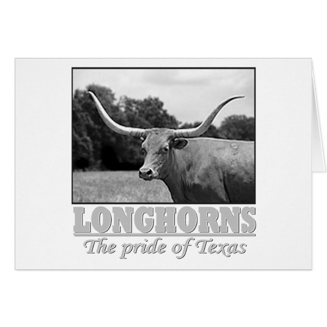 Longhorn_pride (Vorderseite (Horizontal))