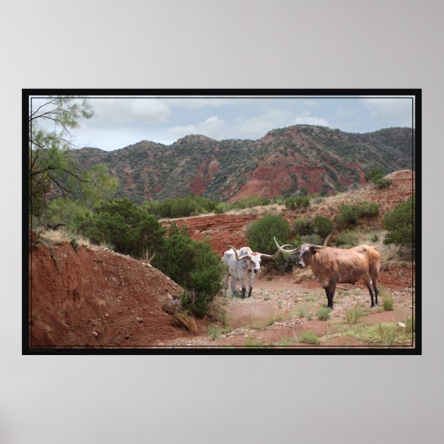 Longhorn Ravine Poster -60x40 (Vorne)