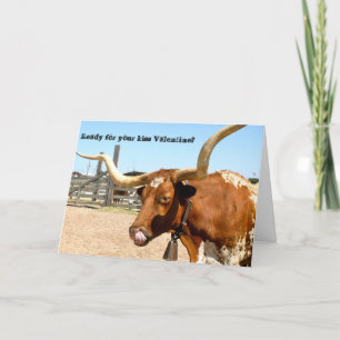 Longhorn steer ready to give you a valentine kiss feiertagskarte